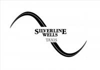 Silverline Wells logo